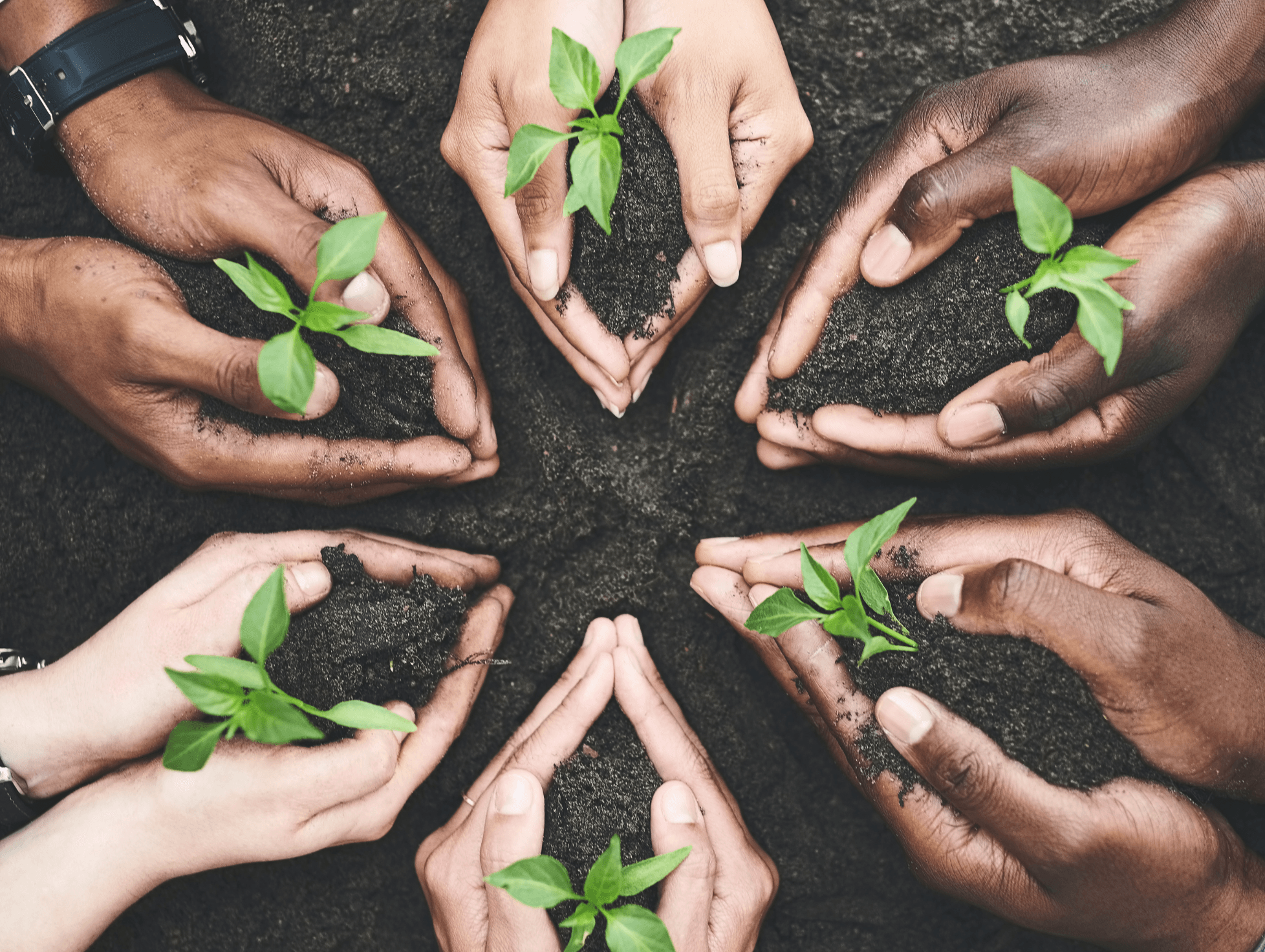 Sustainability and Regulatory Compliance in Packaging Visual representation of sustainable packaging solutions with eco-friendly materials, recycling icons, and compliance checkmarks